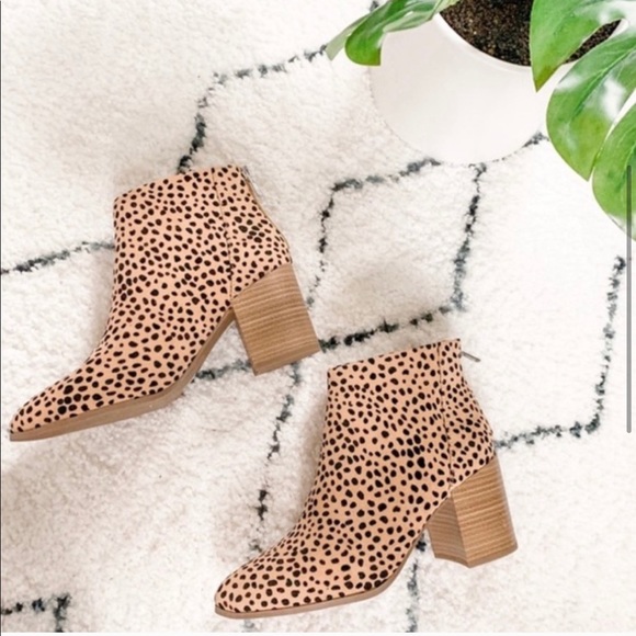 Leopard Cheetah Print Booties - Picture 4 of 6